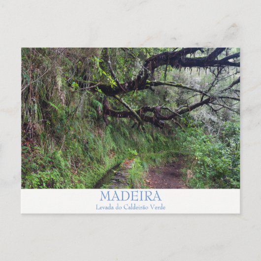 Madère - Caldeirao Verde carte postale avec texte (Devant)