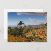Madère - Jardin botanique de Funchal carte postale (Devant / Derrière)