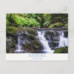 Madère - Levada do Rei carte postale avec texte