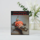 Maderia Beach, Floride Gator Carte postale de voeu (Debout devant)