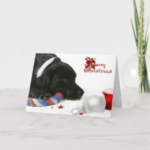 Madison de zwarte Labrador Kaart