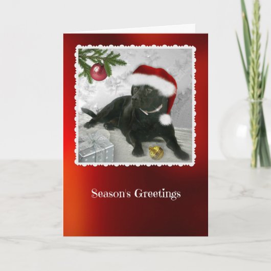 Madison la carte de Noël Black Labrador (Devant)