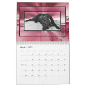 Madison the Black Labrador Kalender (Mar 2027)