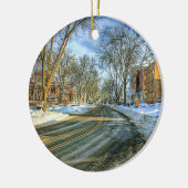 Madison, Wisconsin Kaas Hoofd Kerst Keepsake Keramisch Ornament (Links)