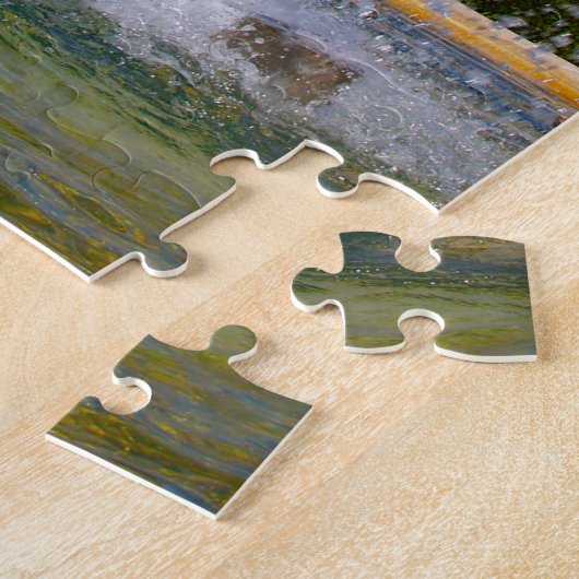 Madison Wisconsin. Legpuzzel (Zijkant)