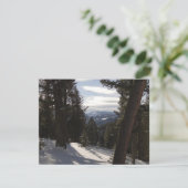 Madisongebergte in de winter in Montana (Staand voorkant)