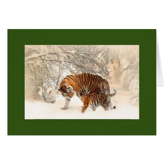 MADONNA ET CUB TIGERS DANS LA CARTE DE SALUT DE NE (Devant horizontal)