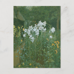 Madonna Lilies in een tuin Briefkaart