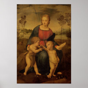 Madonna van de Goldfinch, c.1506 Poster