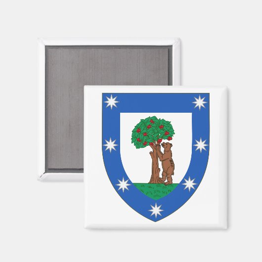 Madrid Wapenmunt Magnet Magneet (Voorkant / Achterkant)