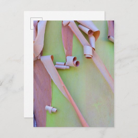 Madrone Tree Bark Abstract Briefkaart (Voorkant / Achterkant)