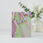 Madrone Tree Bark Abstract Briefkaart (Staand voorkant)