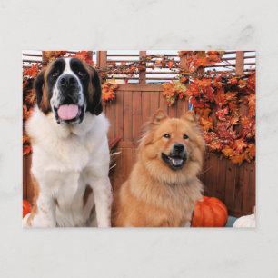Mae St Bernard en Cinny Chow Photo-11 Briefkaart