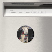 Maestro Groupie Magnet Magneet (Insitu (Vaatwasser))