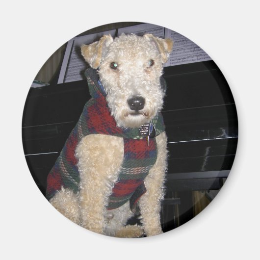 Maestro Groupie Magnet Magneet (Voorkant)