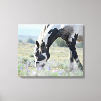 Maestro stretched canvas 20 x 16 afdruk