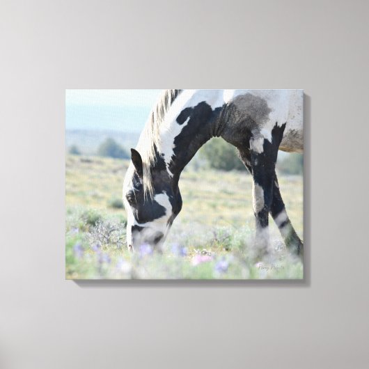 Maestro stretched canvas 20 x 16 afdruk (Voorkant)