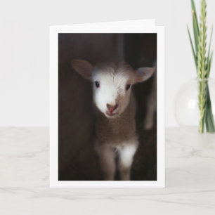 MAG DAN EEN BABY ZIJN, MAAR IK KAN WEL ZEGGEN **VR KAART