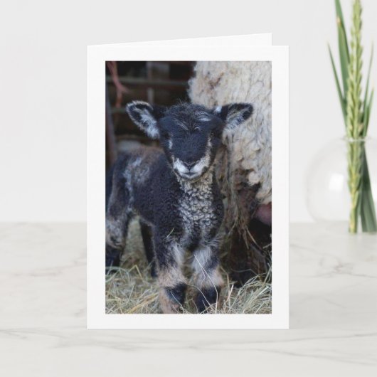 MAG EEN "KIND" ZIJN, MAAR IK KAN ZEGGEN **MERRY CH KAART (Voorkant)