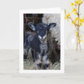 MAG EEN "KIND" ZIJN, MAAR IK KAN ZEGGEN **MERRY CH KAART (Gele Bloem)