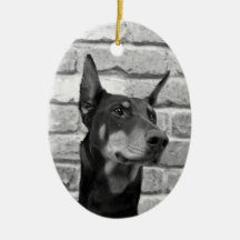 Mag ik je gezicht laten zien?