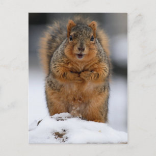 Mag ik mezelf introduceren? briefkaart