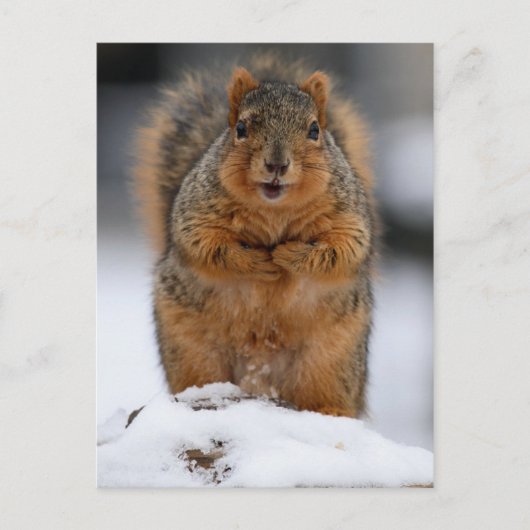 Mag ik mezelf introduceren? briefkaart (Voorkant)