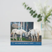 Magasin passionnant et carte postale Starlet de Be (Debout devant)