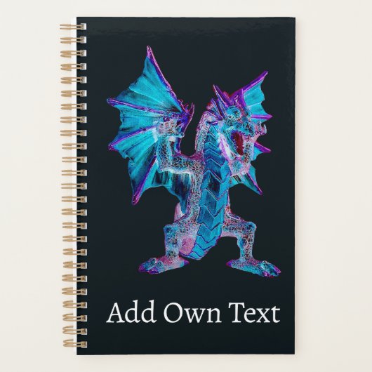 Mage de combat Dragon d'Infer de Feu Bleu Fantasti (Devant)
