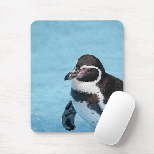 Magelhaen Pinguïn Mousepad Muismat (Met muis)