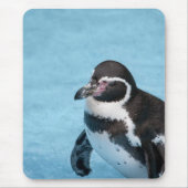 Magelhaen Pinguïn Mousepad Muismat (Voorkant)