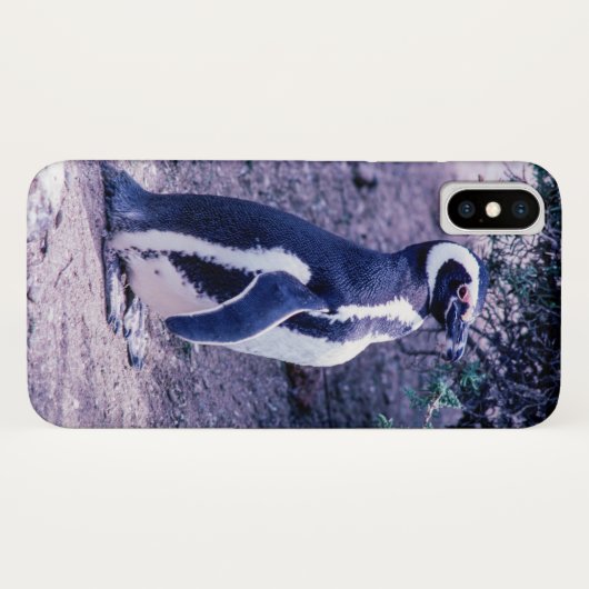 Magellanic Penguin in Peninsula Valdes - Argentini Case-Mate iPhone Case (Achterkant (horizontaal))