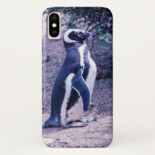 Magellanic Penguin in Peninsula Valdes - Argentini Case-Mate iPhone Case (Achterkant)
