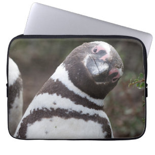 Magellanic Penguin Portrait Laptop Sleeve
