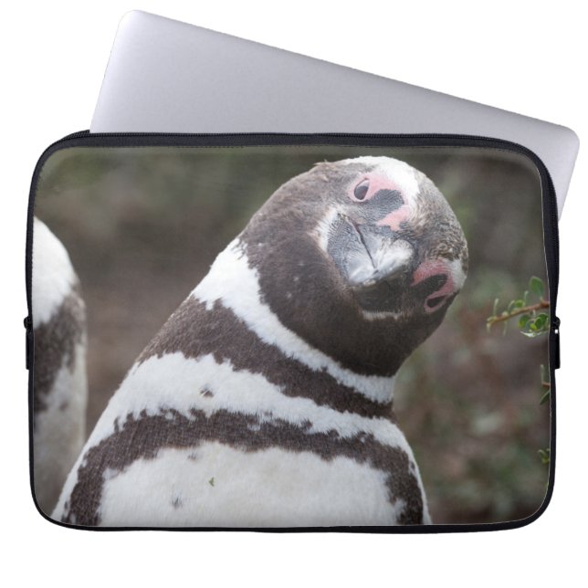 Magellanic Penguin Portrait Laptop Sleeve (Voorkant)