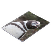 Magellanic Penguin Portrait Notitieboek (Linkerzijde)