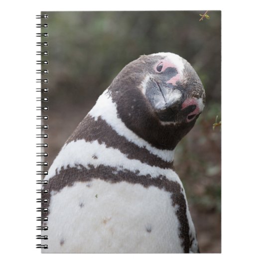 Magellanic Penguin Portrait Notitieboek (Voorkant)
