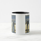 Magellanische pinguïns, Sfeniscus Mok (Midden)