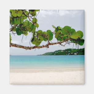 Magens Bay, St. Thomas 2 Inch Square Magnet Magneet