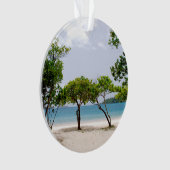 Magens Bay (St. Thomas, USVI) (devant)