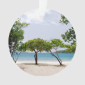 Magens Bay (St. Thomas, USVI) (devant)