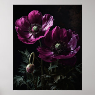 Magenta Anemone Flowers Art Print Poster