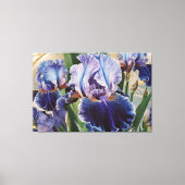 *~* Magenta Blauwgroen IRIS Irissen Bloemen TV2 Canvas Afdruk (Voorkant)