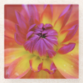 Magenta en gele bloem glazen onderzetter