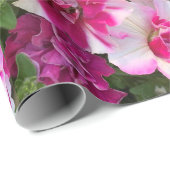 magenta en witte garnalen cadeaupapier (Rol Hoek)