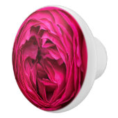 Magenta English roos Keramische Knop (Rechts)