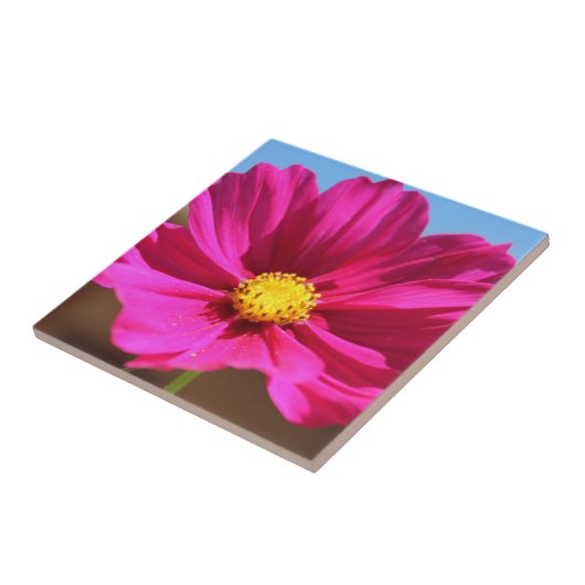 Magenta Flower Tegeltje (Zijkant)