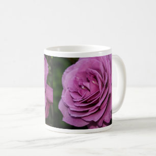 Magenta Garden Rose café Mug