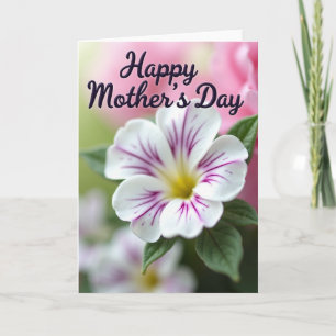 Magenta Geaderde Bloom Kaart