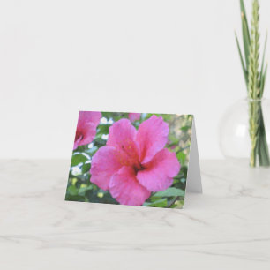 Magenta Hibiscus Note-Kaart Kaart